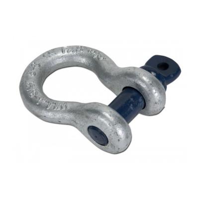 RCF SHACKLE TTL 33-31